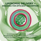 Liposomal Glutathione Liquid