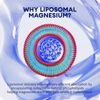 Liposomal Magnesium Liquid